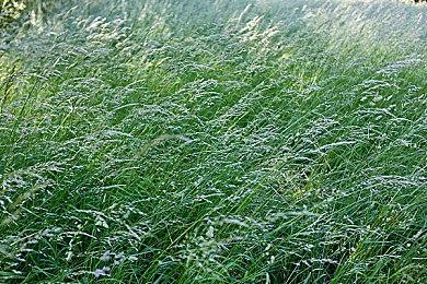 任天堂Switch黄金周促销活动开启 多款游戏最大75%优惠